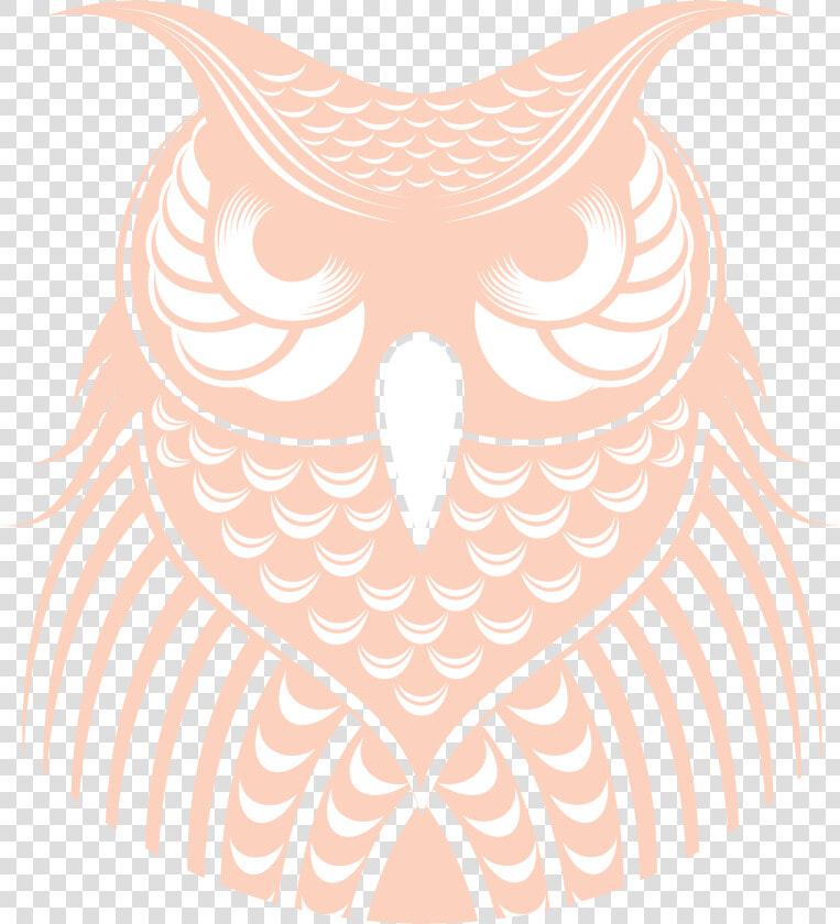 Transparent Owl Icon Png   Eastern Screech Owl  Png DownloadTransparent PNG