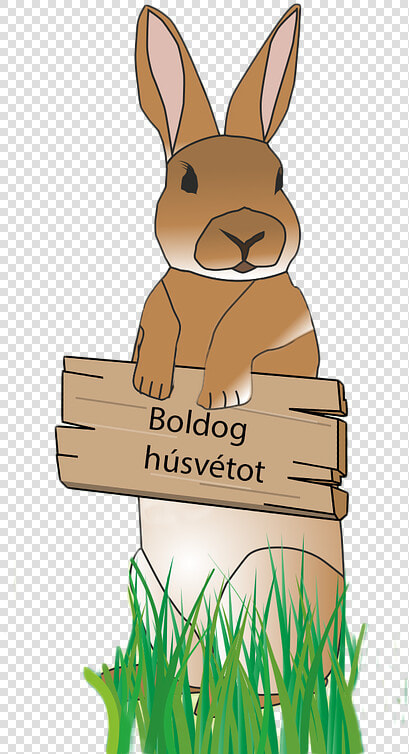 Rabbit Easter Bunny Free Picture   قصة ارنوب  HD Png DownloadTransparent PNG