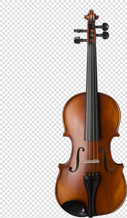 Glasser Composite Aex 5 String Violin  HD Png DownloadTransparent PNG