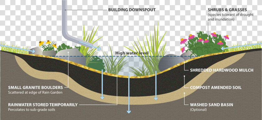 Rain Garden Cross Section  HD Png DownloadTransparent PNG