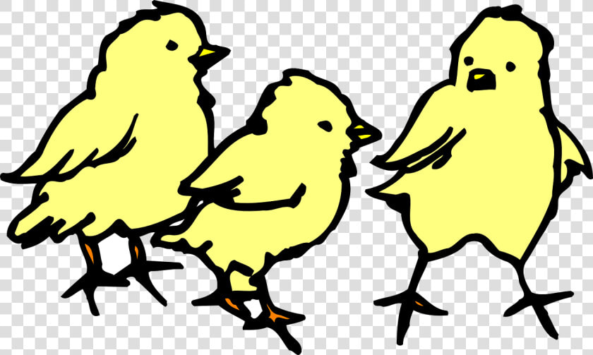 3 Chicks Clipart Black And White  HD Png DownloadTransparent PNG
