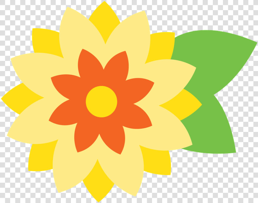 Minus Pet Accessories  Clip Art  Owl  Cute Animals    Bakıxanov Residence  HD Png DownloadTransparent PNG