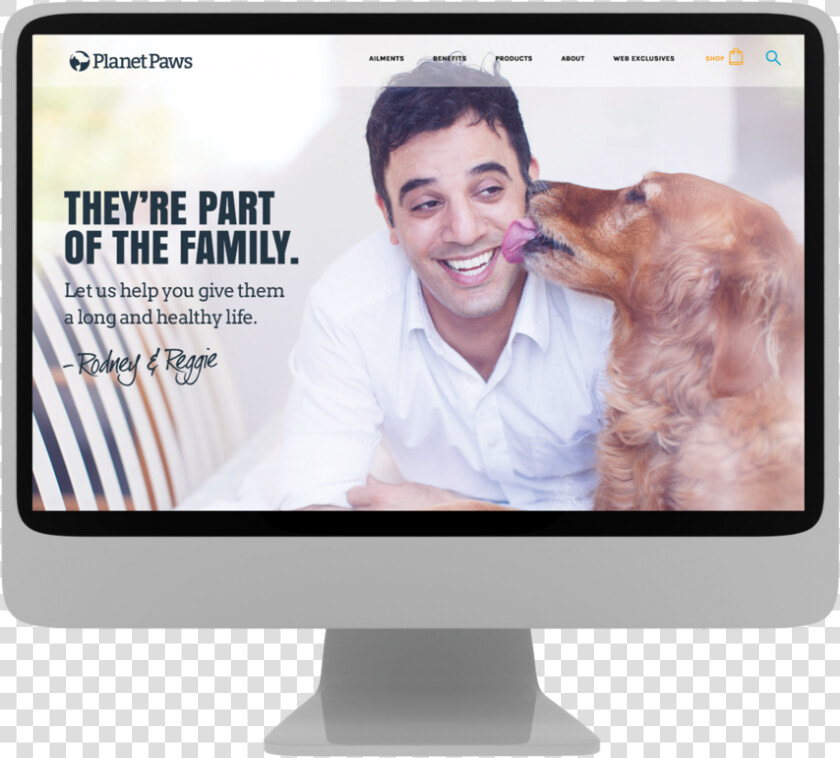 Paws web  HD Png DownloadTransparent PNG