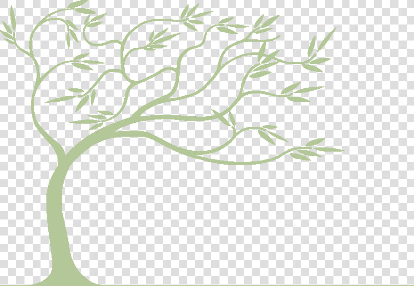 Willow Drawing Background   Willow Tree Bending In The Wind  HD Png DownloadTransparent PNG