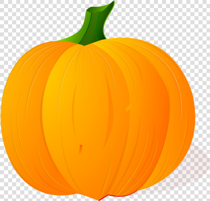 Transparent Pumpkin Clipart Transparent Background   Transparent Transparent Background Pumpkin Vector  HD Png DownloadTransparent PNG