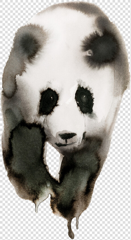 Stina Persson Animals  HD Png DownloadTransparent PNG