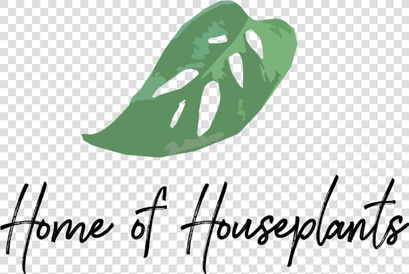 Monstera Adansonii   Png Download   House Plants Logo  Transparent PngTransparent PNG