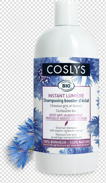 Cosmetics  HD Png DownloadTransparent PNG