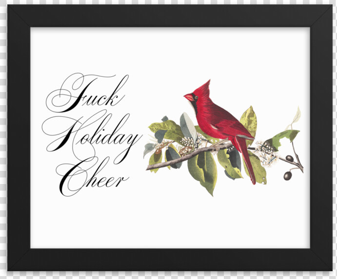 Audubon Cardinals  HD Png DownloadTransparent PNG