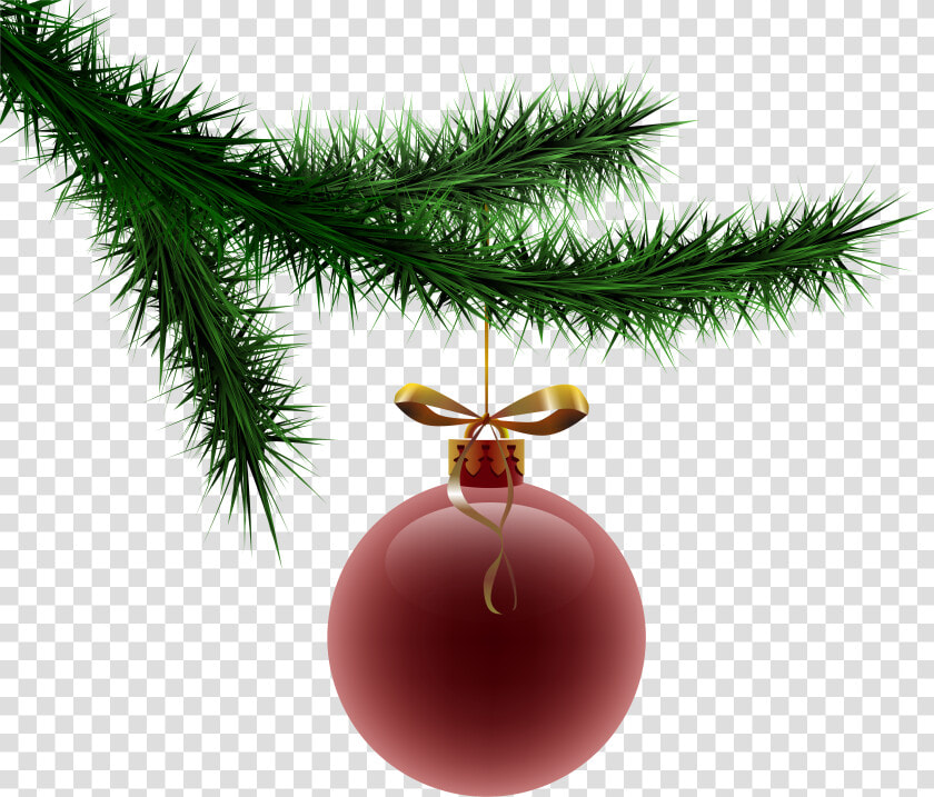 Branch Clipart Christmas   Christmas Tree Branch With Ornament Png  Transparent PngTransparent PNG
