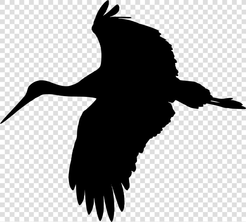 Stork Vector Svg   Clipart Flying Stork Png  Transparent PngTransparent PNG