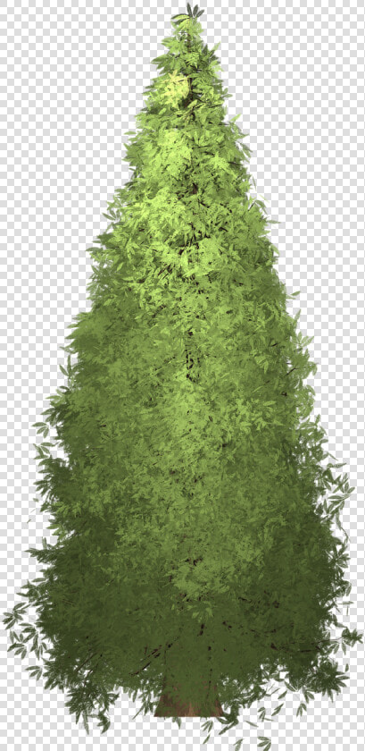 Redwood Tree Painted Tree Free Photo   Tree  HD Png DownloadTransparent PNG