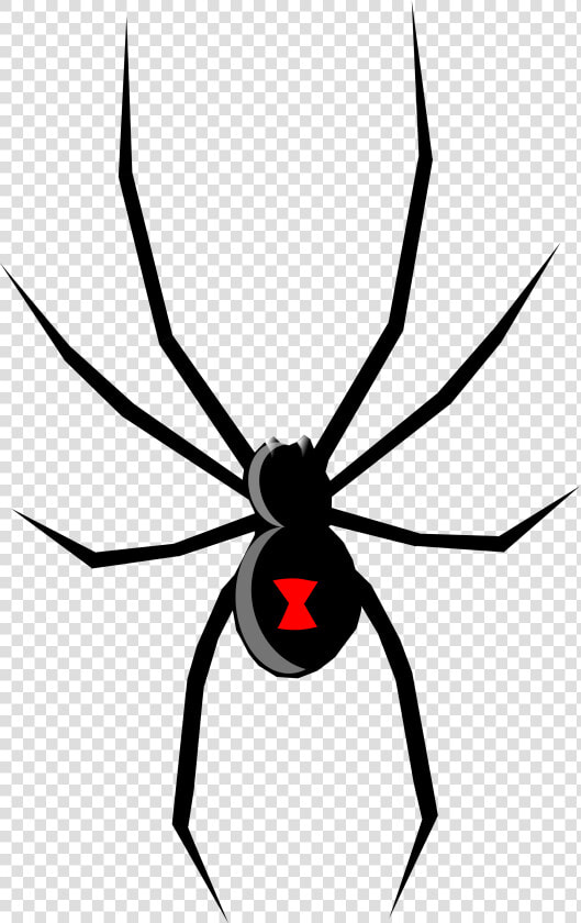 Spade Drawing Spider Web And Open   Black Widow Spider Cartoon  HD Png DownloadTransparent PNG