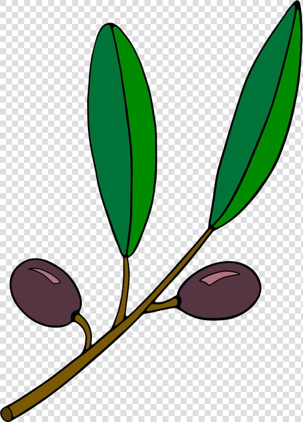 Olive Branch Clipart   Olive Branch Clip Part  HD Png DownloadTransparent PNG