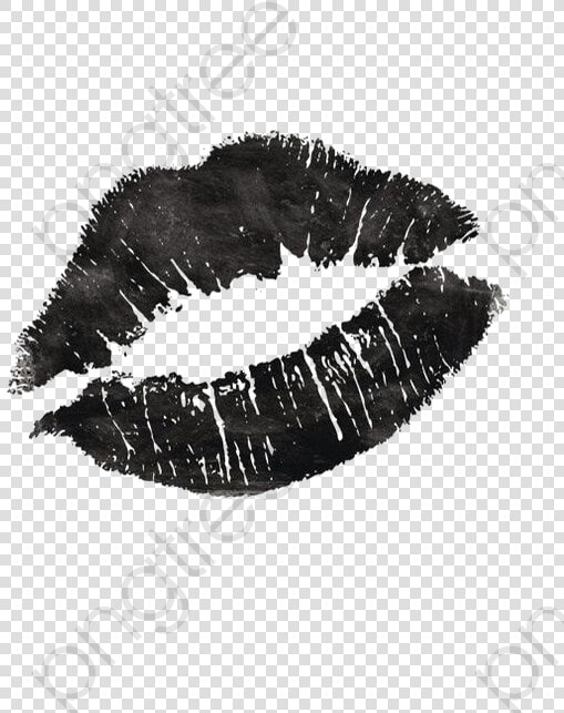 Lip Prints   Morgan Wallen Song Quotes  HD Png DownloadTransparent PNG