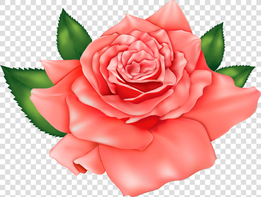 Orange Rose Png Clipart Image   Rose Clipart Flowers  Transparent PngTransparent PNG