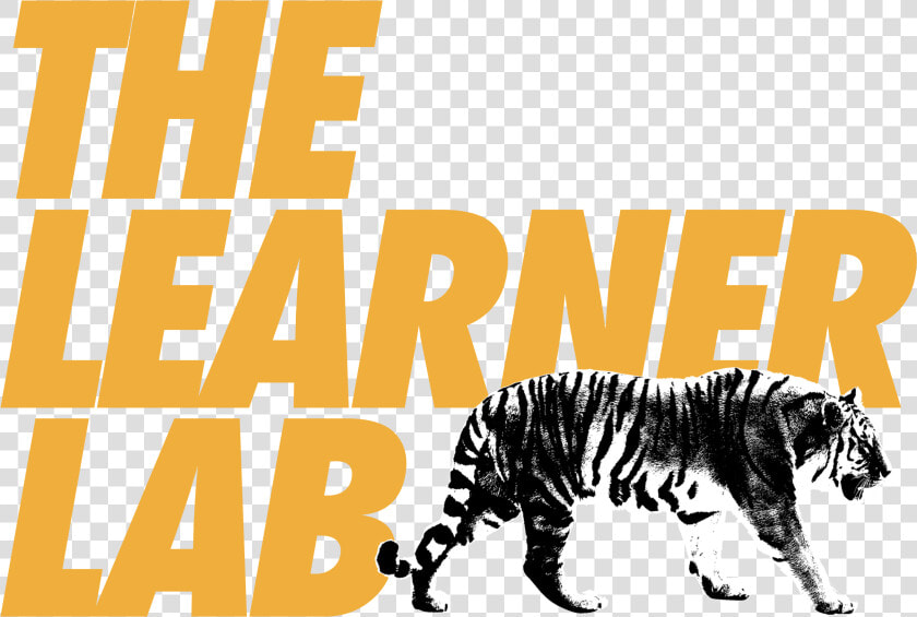 Siberian Tiger  HD Png DownloadTransparent PNG