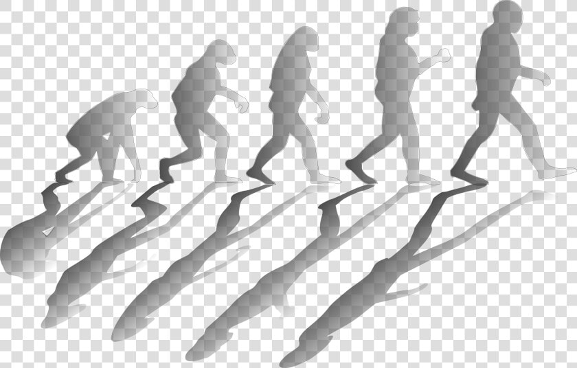 Evolve Log In   Contributions Of Charles Darwin In Science  HD Png DownloadTransparent PNG