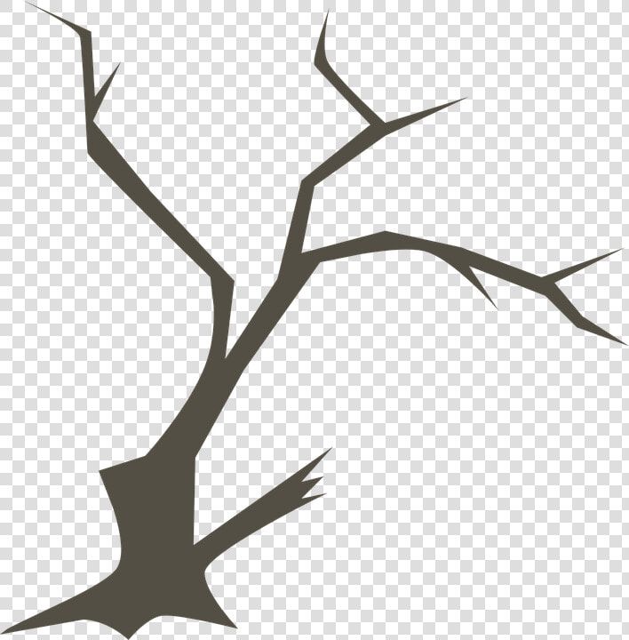 Árbol  Ramas  Naturaleza  Rama  Forestales  Bosques   Ramas De Arbol Png  Transparent PngTransparent PNG