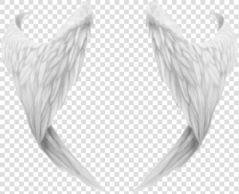 Angel Wings Png File   ادوات تصميم مقصوصه  Transparent PngTransparent PNG