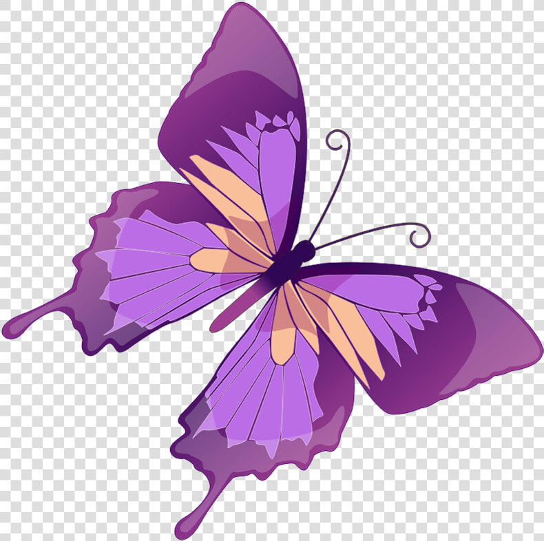 Purple Butterfly Clip Art   Purple Butterfly And Flower Clipart  HD Png DownloadTransparent PNG