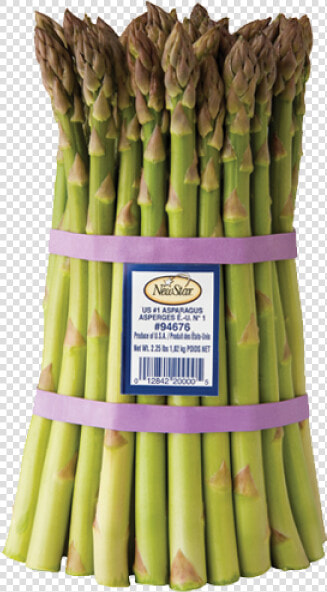 Asparagus  HD Png DownloadTransparent PNG