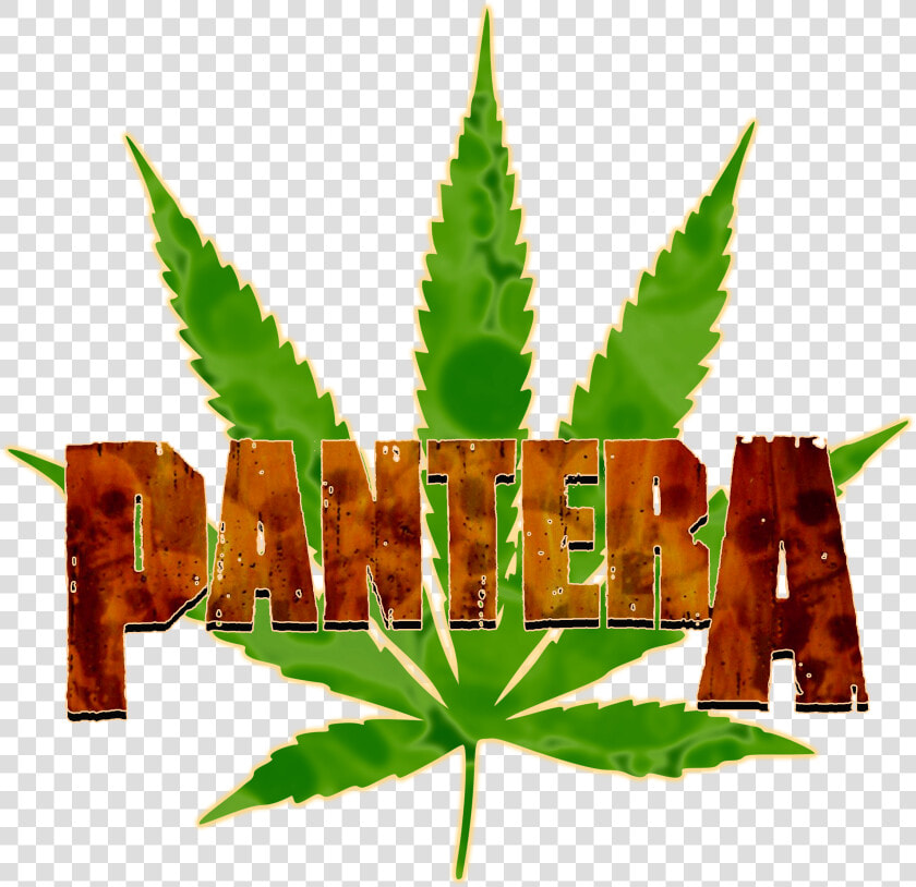 Toronto Maple Leafs Marijuana  HD Png DownloadTransparent PNG