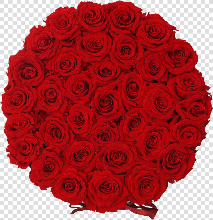 Orb Grand Red Roses Class Lazyload Lazyload Fade   Garden Roses  HD Png DownloadTransparent PNG