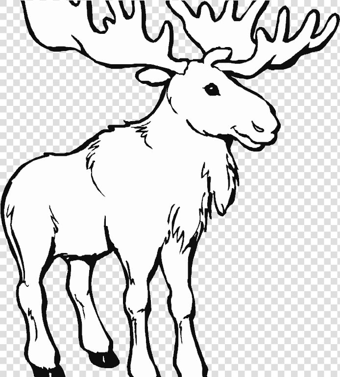 Transparent Moose Clipart Black And White   Maine Moose Coloring Page  HD Png DownloadTransparent PNG