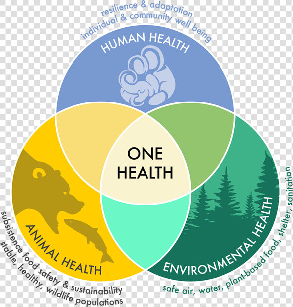 One Health Ven Diagram Illustrating The Interdependence   Human Animal Environment One Health  HD Png DownloadTransparent PNG