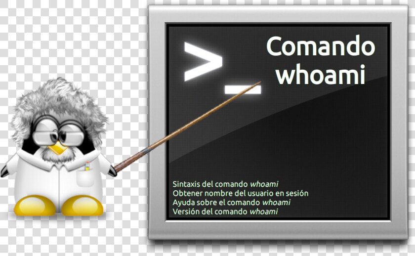 Tux Professor  HD Png DownloadTransparent PNG