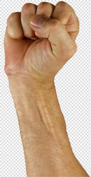 Faust Png  Transparent PngTransparent PNG
