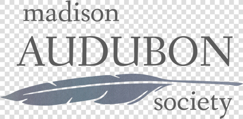 Mas watercolorlogo   Calligraphy  HD Png DownloadTransparent PNG