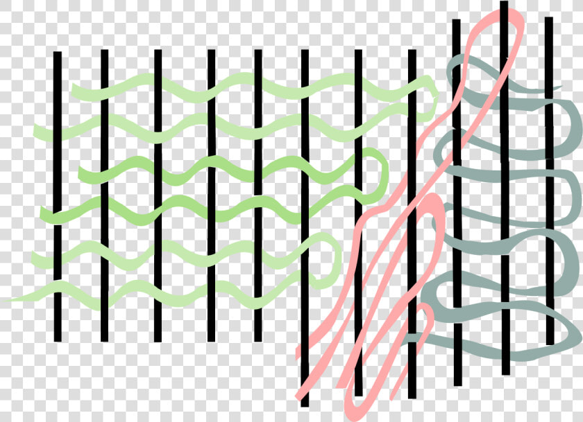 Colorfulness  HD Png DownloadTransparent PNG