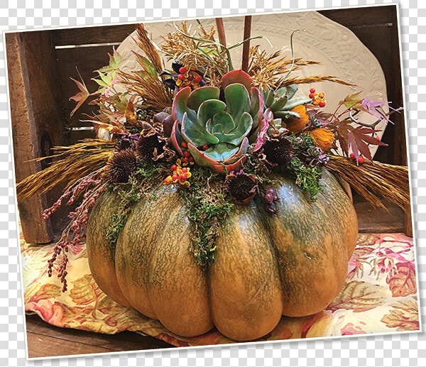 Winter Squash  HD Png DownloadTransparent PNG