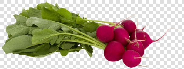 Radishes Png  Transparent PngTransparent PNG