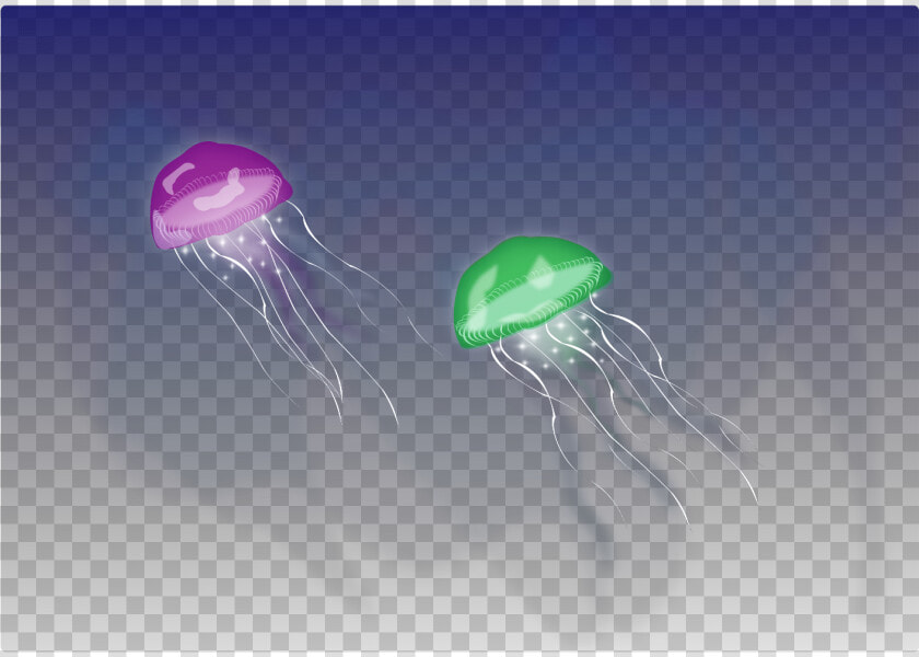 Jellyfish   Png Download  Transparent PngTransparent PNG