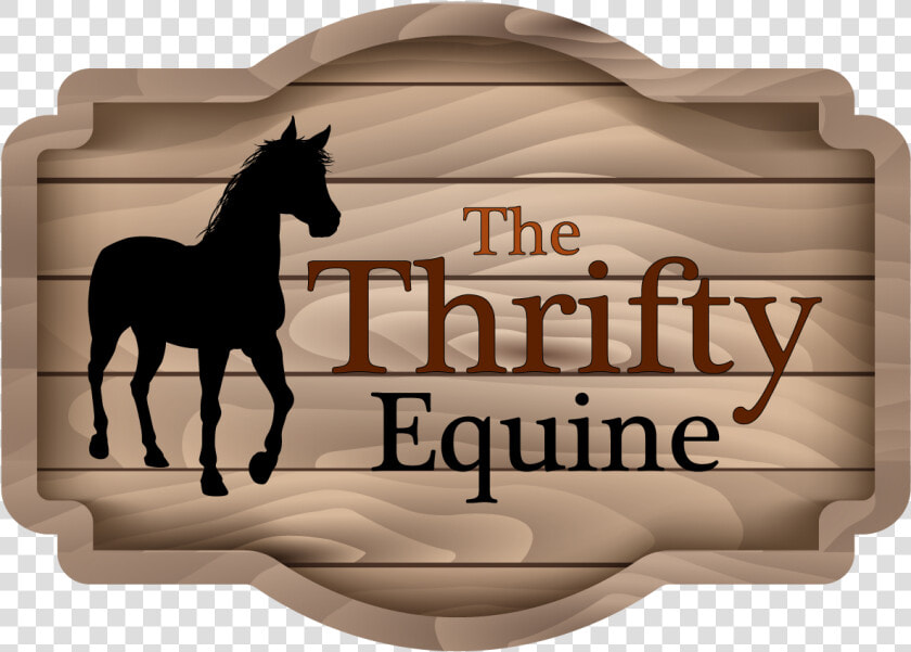 The Thrifty Equine   Foal  HD Png DownloadTransparent PNG