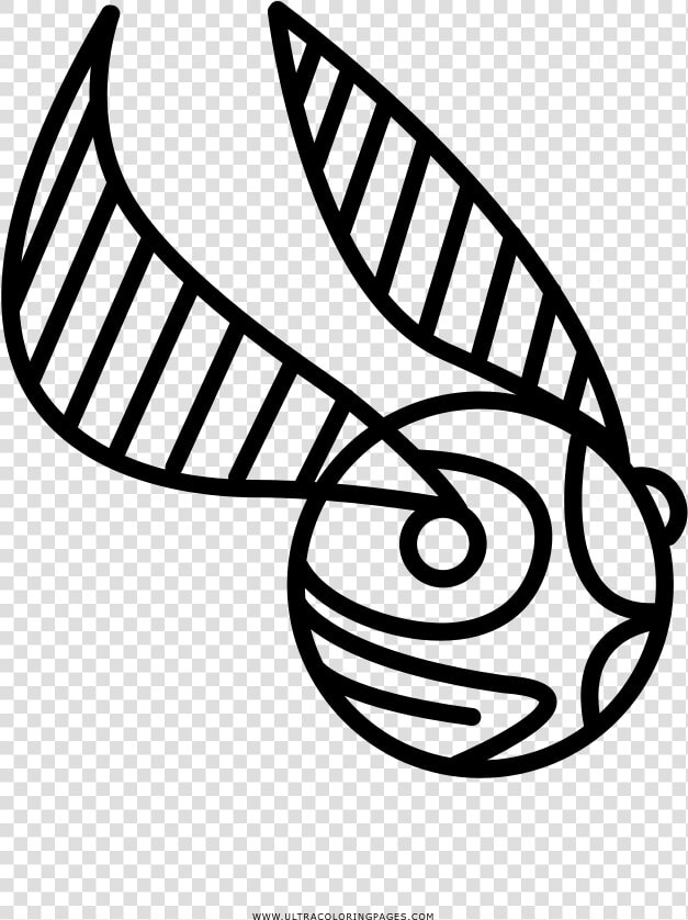 Golden Snitch Coloring Page   Simple Golden Snitch Drawing  HD Png DownloadTransparent PNG