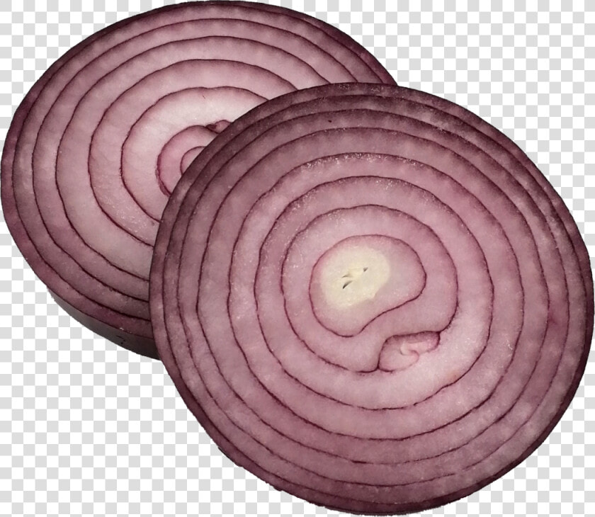 Sliced Onion 5  HD Png DownloadTransparent PNG