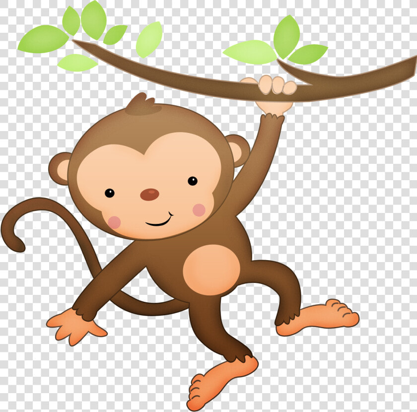 Transparent Monkey Vector Png   Monkey Safari Png  Png DownloadTransparent PNG