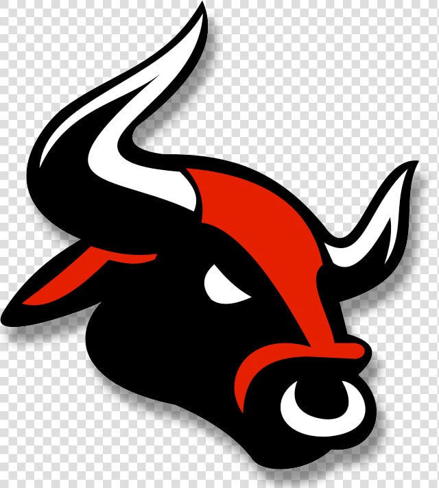 Bull Head Png   Bull Png  Transparent PngTransparent PNG