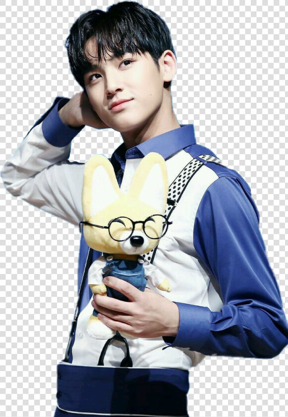  kimmingyu  mingyu  seventeen  svt  kpop  fox  wonu   Mingyu Seventeen Mingyu Png  Transparent PngTransparent PNG