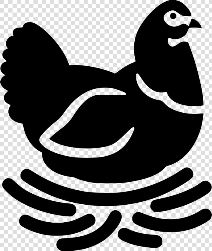 Hen Chicken Brood Svg   Black And White Chicken On Nest  HD Png DownloadTransparent PNG