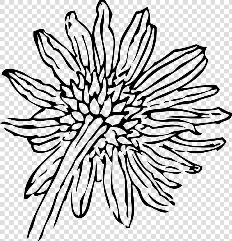 Back Of A Sunflower Clip Arts   Simple Flower Line Art Png  Transparent PngTransparent PNG