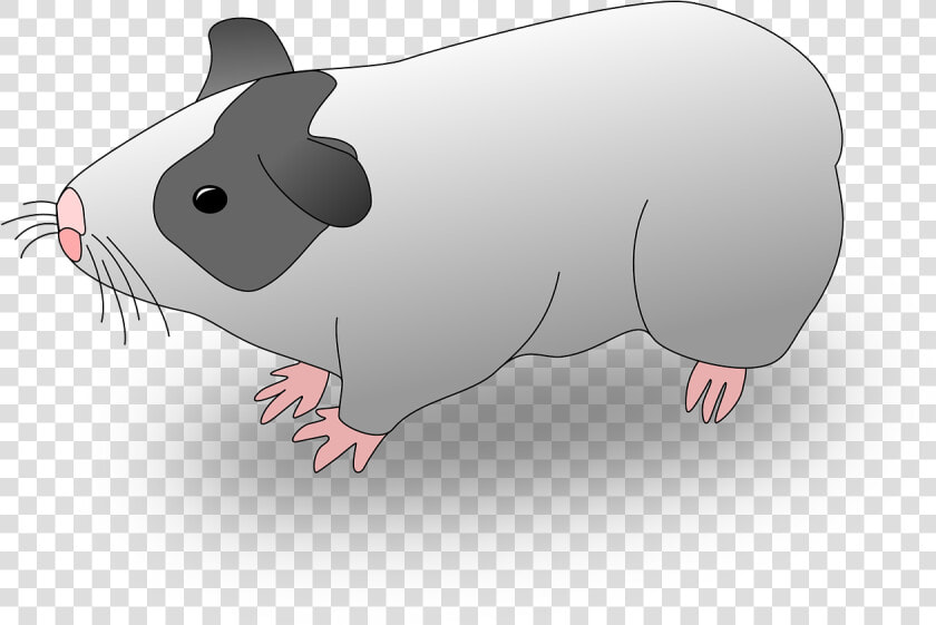 Marmut Kartun  HD Png DownloadTransparent PNG