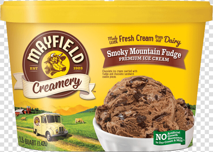 Smoky Mountain Fudge   Sea Salt Caramel Cheesecake Ice Cream  HD Png DownloadTransparent PNG