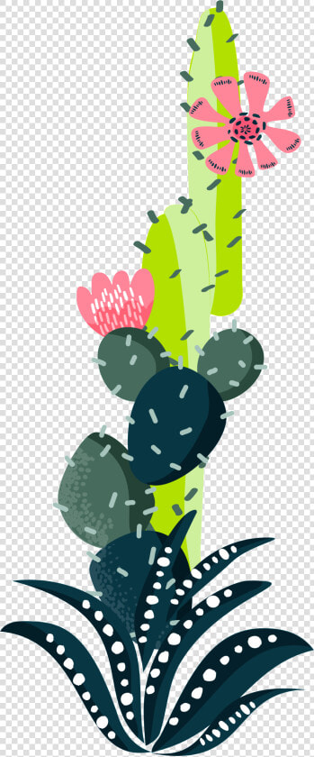 Colorful Cactus Plant Watercolor Hand Painted Transparent  HD Png DownloadTransparent PNG