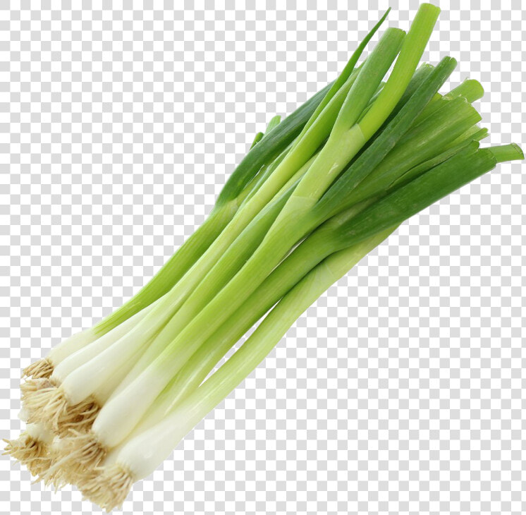 Leek  HD Png DownloadTransparent PNG