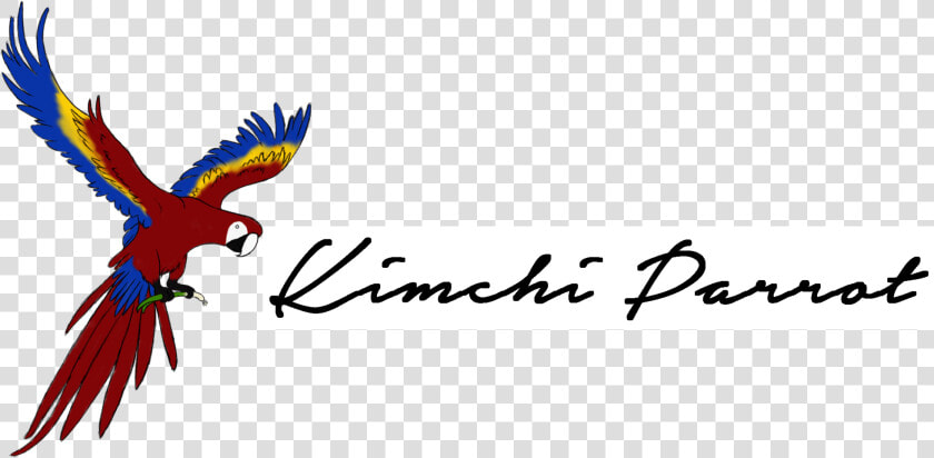 Macaw   Png Download   Macaw  Transparent PngTransparent PNG